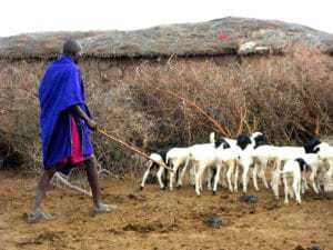 kenia afrika reise bilder 444